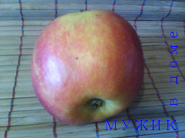 яблоко сорта Конфетное